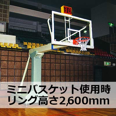 basketball goal