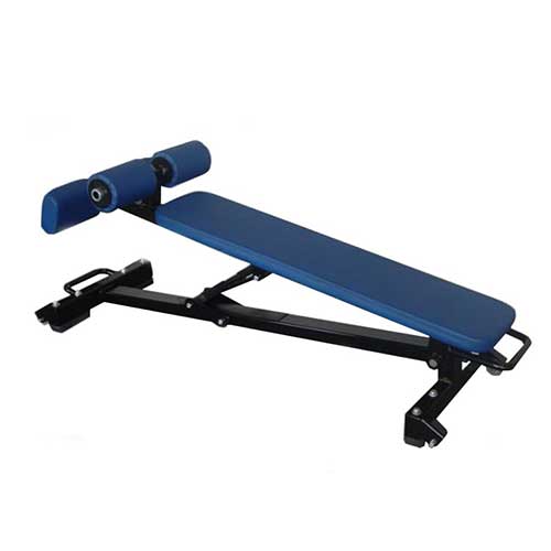 DECLINE DUMBBELL BENCH